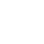 Megaphone Icon